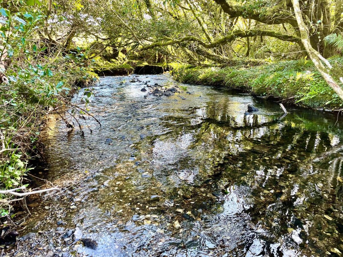 فيلا Stepping Stones Glamping 'The Olive' بانتري المظهر الخارجي الصورة