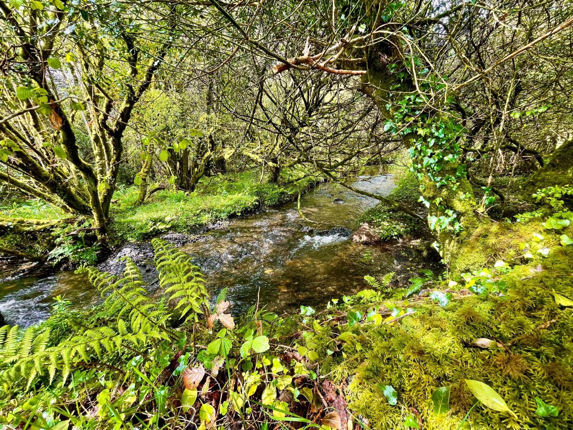 فيلا Stepping Stones Glamping 'The Olive' بانتري المظهر الخارجي الصورة